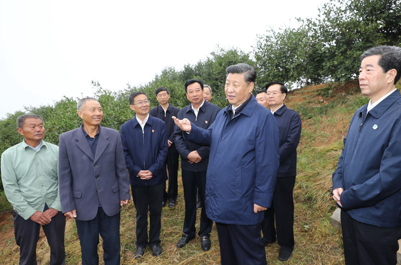 　　9月16日至18日，中共中央總書(shū)記、國家主席、中央軍委主席習近平在河南考察。這是17日上午，習近平來(lái)到信陽(yáng)市光山縣槐店鄉司馬光油茶園，同正在勞作的村民和管理人員交流。 新華社記者 鞠鵬 攝